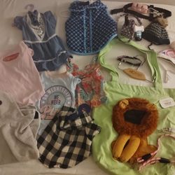 Puppy Clothing With Accessories