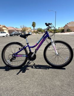 Schwinn Ranger 24” Mountain Bike – 21 Speed – Excellent Condition