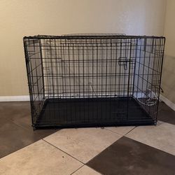 Dog Kennel