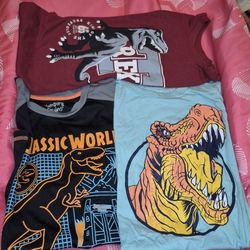 Boys Shirts Size 10/12 Dinosaur 