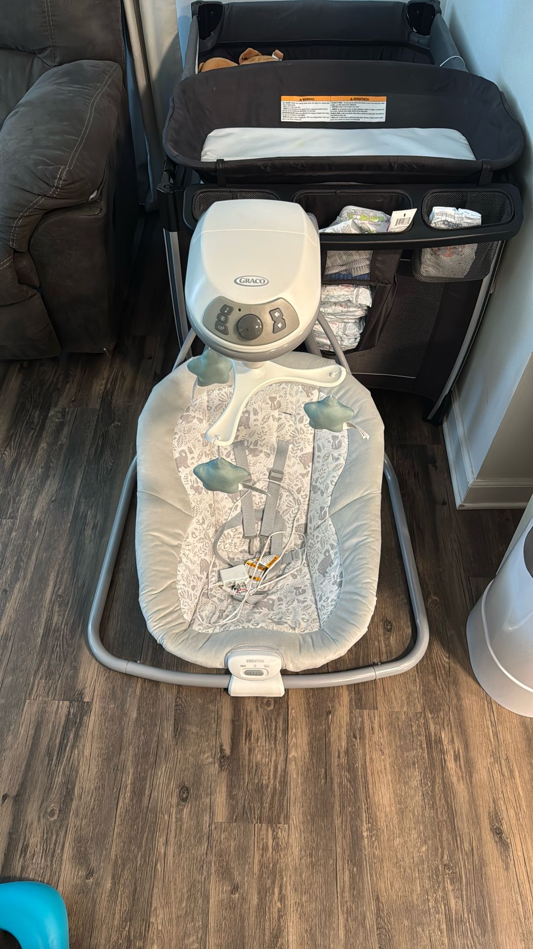 Graco Baby Swing
