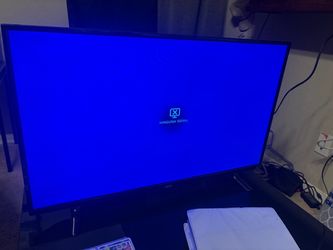 Seiki Flat Screen TV