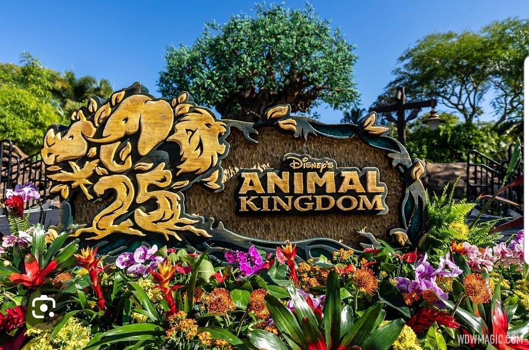 Animal Kingdom Disney Ticket ORLANDO Admission  