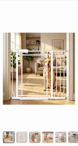 Transparent Acrylic Safety Gate with Triple Lock