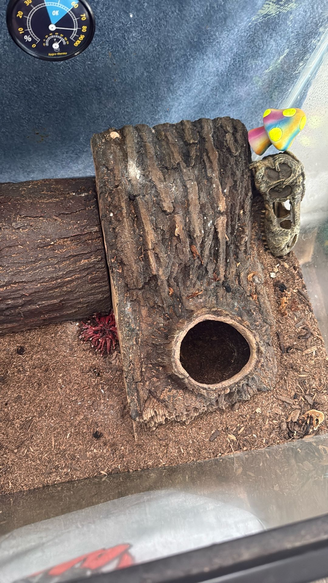 Enclosure Necessities