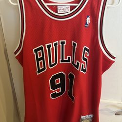 Dennis Rodman Jersey (L)
