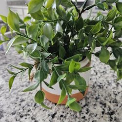 Flower Pot + Fake Flowers