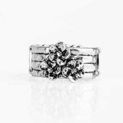 Paparazzi Silver Ring