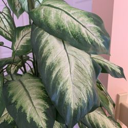 Artificial Tree/ Bush . Tall 