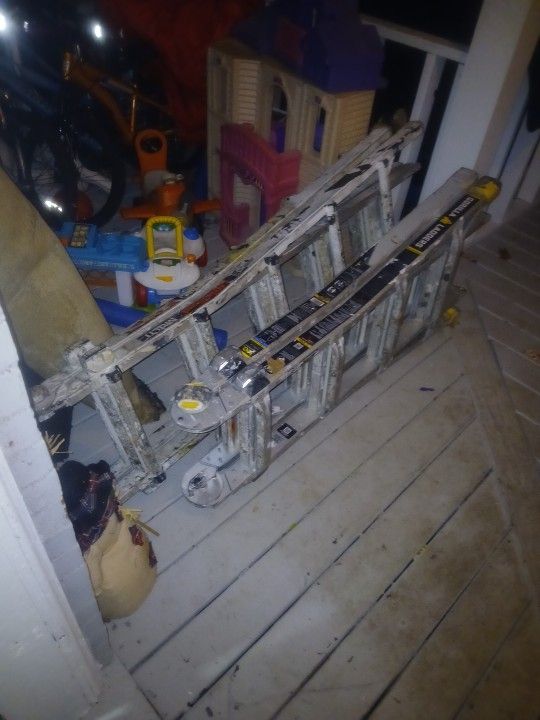 Ladder (Little Giant)