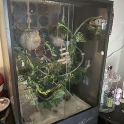 Large Vertical Reptile Enclosure – Perfect for Reptiles