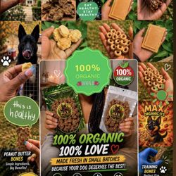 Fresh Dog Treats Your Pup Will Love 