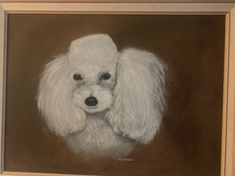 Poodle original Painted portrait On Canvas
