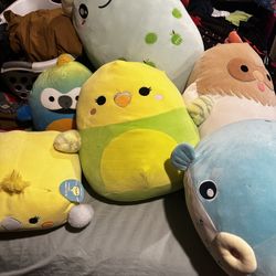 Squishmallow Large Plushies