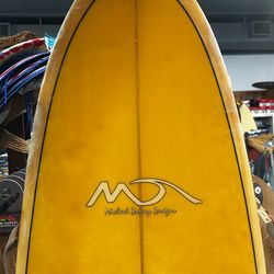 6-6 fish surfboard at Catch a Wave Surf Shop