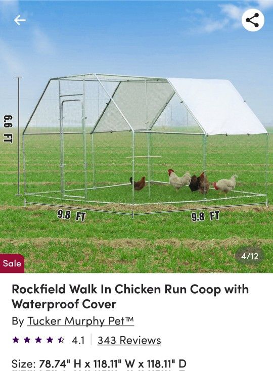 Chicken Coop