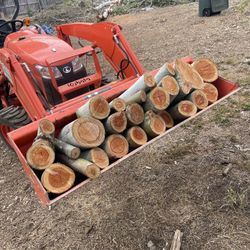 Firewood 