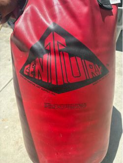 Hanging punching bag