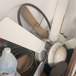 Ceiling Fan. 