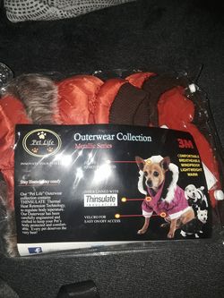 small dog coat