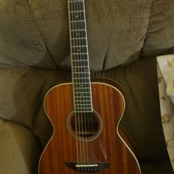 Acoustic Guitar 