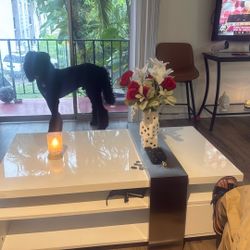 Modern coffee table