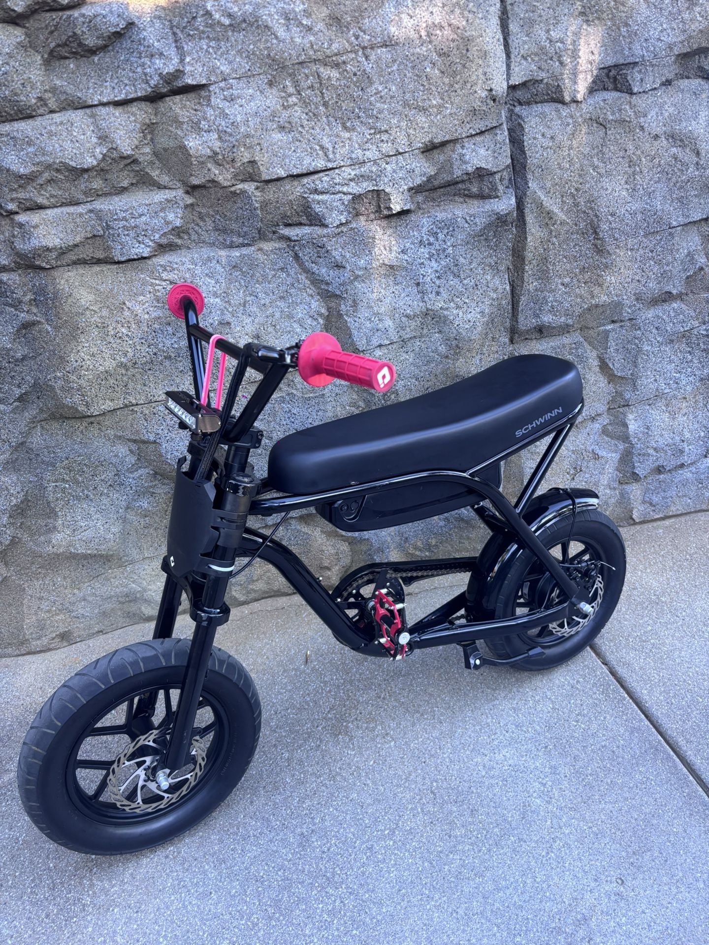 Schwinn Modded E Bike