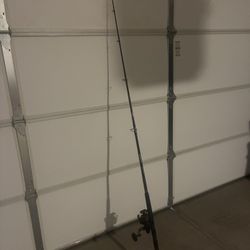 Diawa Fishing Rod