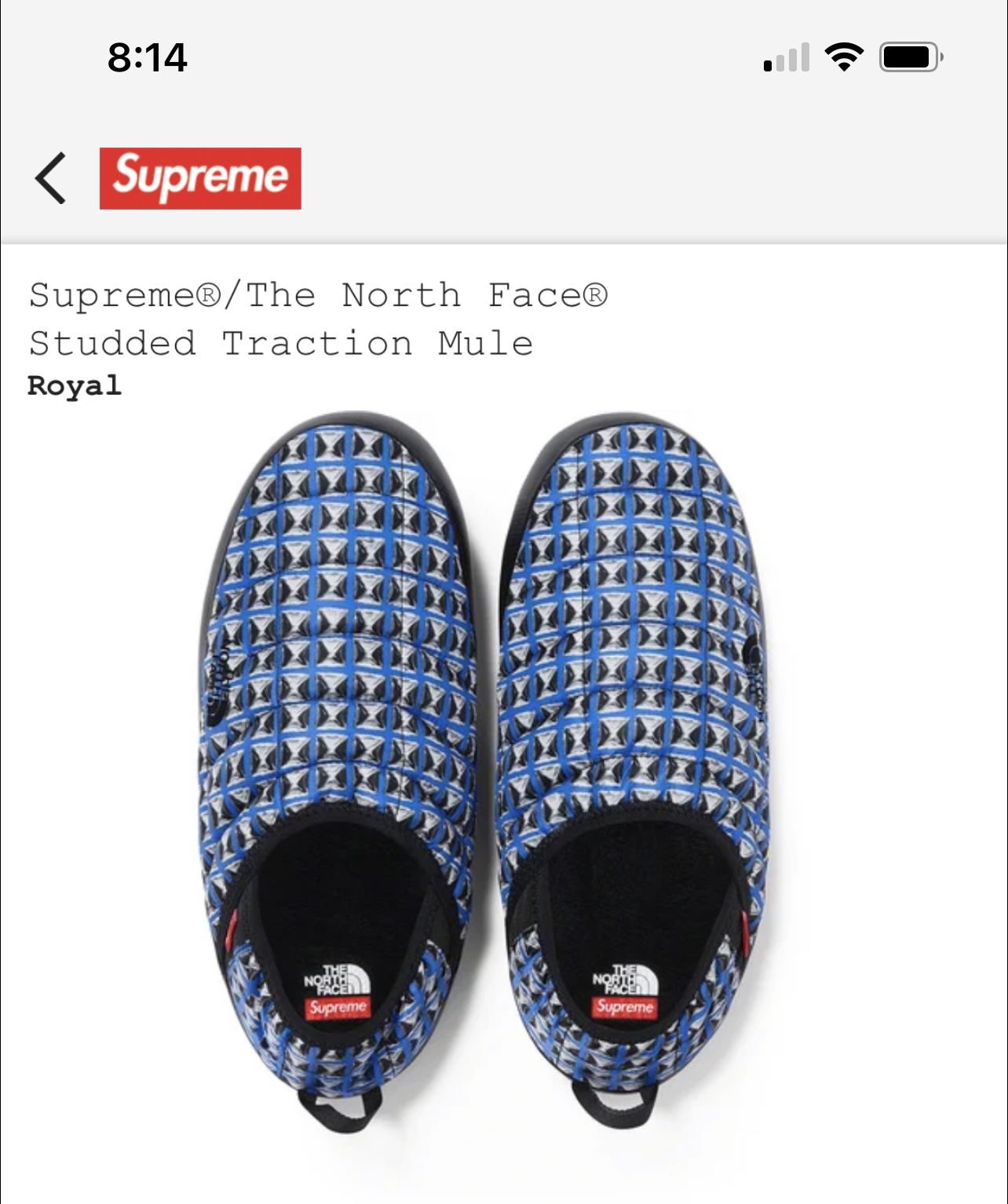 Supreme/North Face Traction Mule