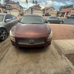 2010 Nissan Maxima  Sports Edition 