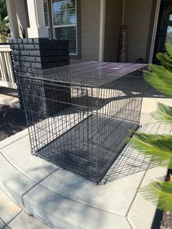 XL Pet Crate