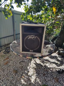 Peavey 112 International Transducer