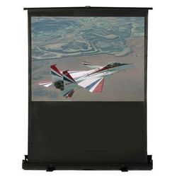 Vintage Hamilton Buhl floor standing projection screen 