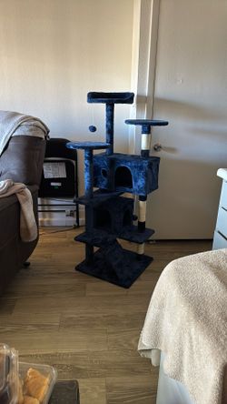 Cat Condo