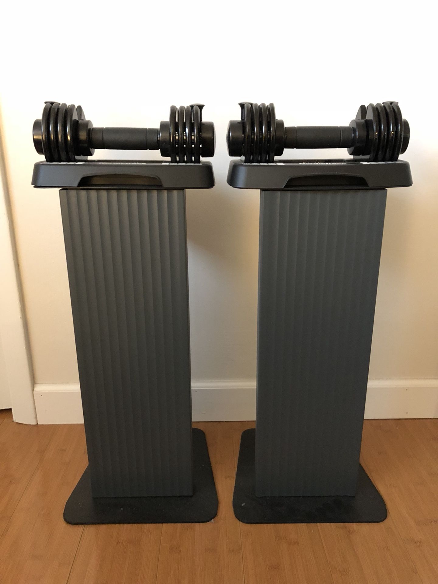 Weights - NordicTrack adjustable speed weights dumbbells
