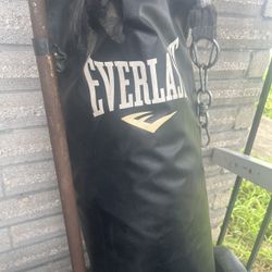 Punching Bag