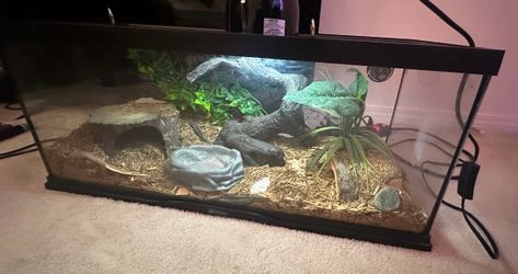20 gallon terrarium EVERYTHING INCLUDED