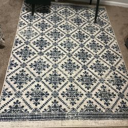 5x7 Brand New Rug