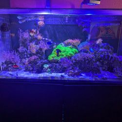RedSea XL 425 G2 Reef tank For Sale