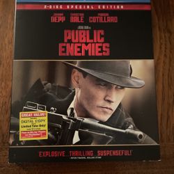 Public Enemies