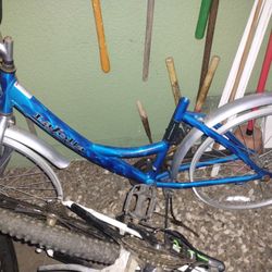 Blue Bike