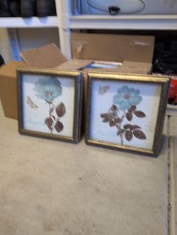 Accent wall hanging / shadowbox photos.