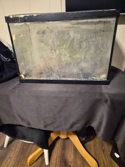 Twenty gallon tall fish tank