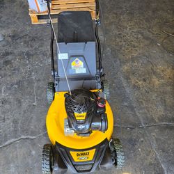 Dewalt 21 in. 150cc Briggs and Stratton 625ex Engine Rear Wheel Drive  Self Propelled Lawn Mower