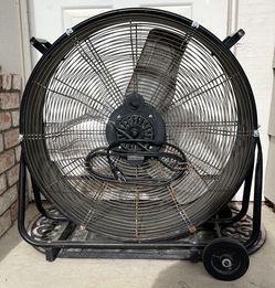 Fan