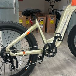🔥 $1000 Ebike (Reg $1650) — Torque Sensor / Hydraulic Brake