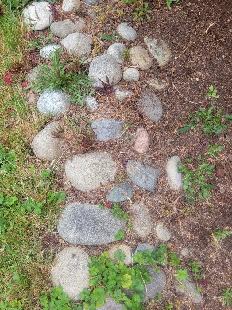 Free river rock
