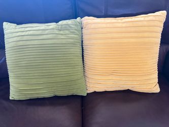 2 Decorative Throw Pillows
