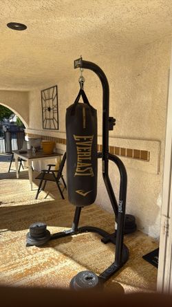 Everlast Punching Bag