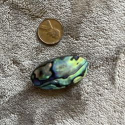 New Zealand Paua Brooch